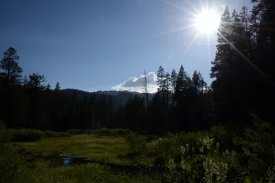 DSC_3526 (Large).JPG